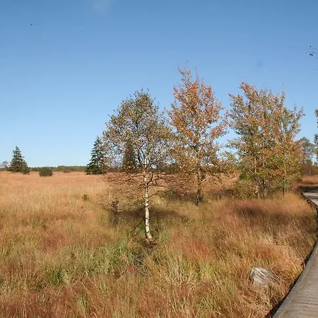 Ibis Budget Aachen Grenze מלון